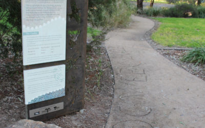 Aboriginal Garden Transformation