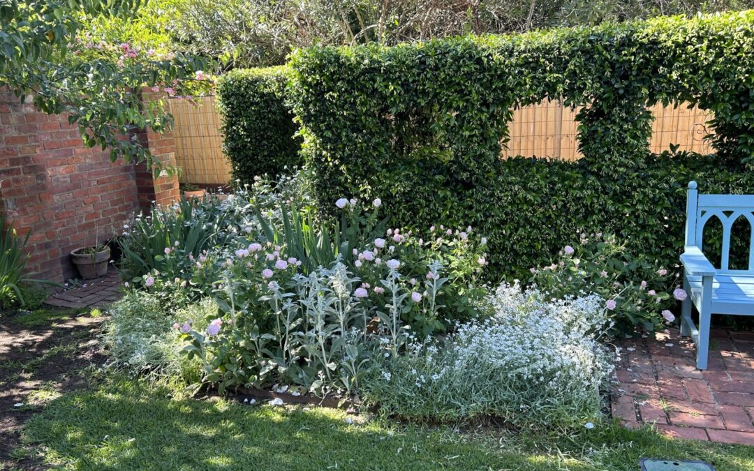 Hedge windows